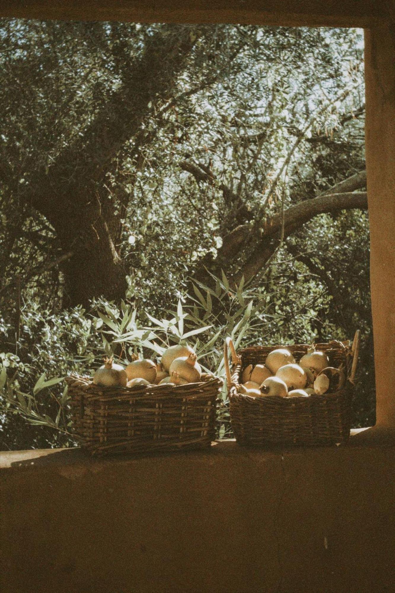 Agroturismo Can Torna Ag178 Esporles Extérieur photo