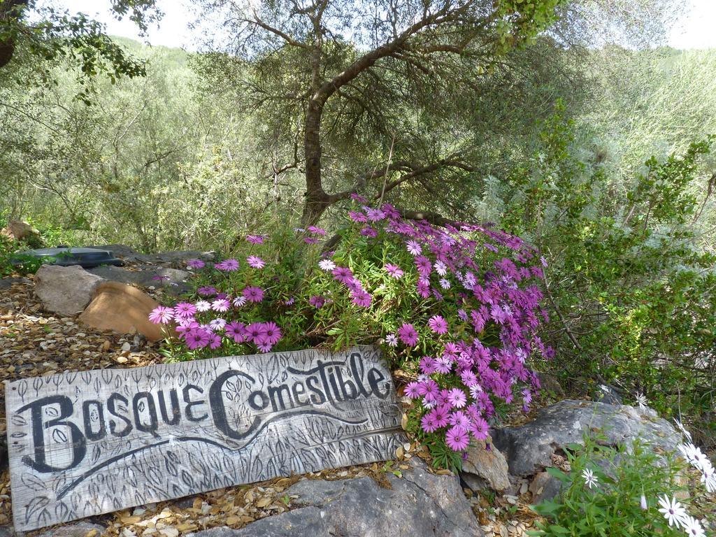 Agroturismo Can Torna Ag178 Esporles Extérieur photo